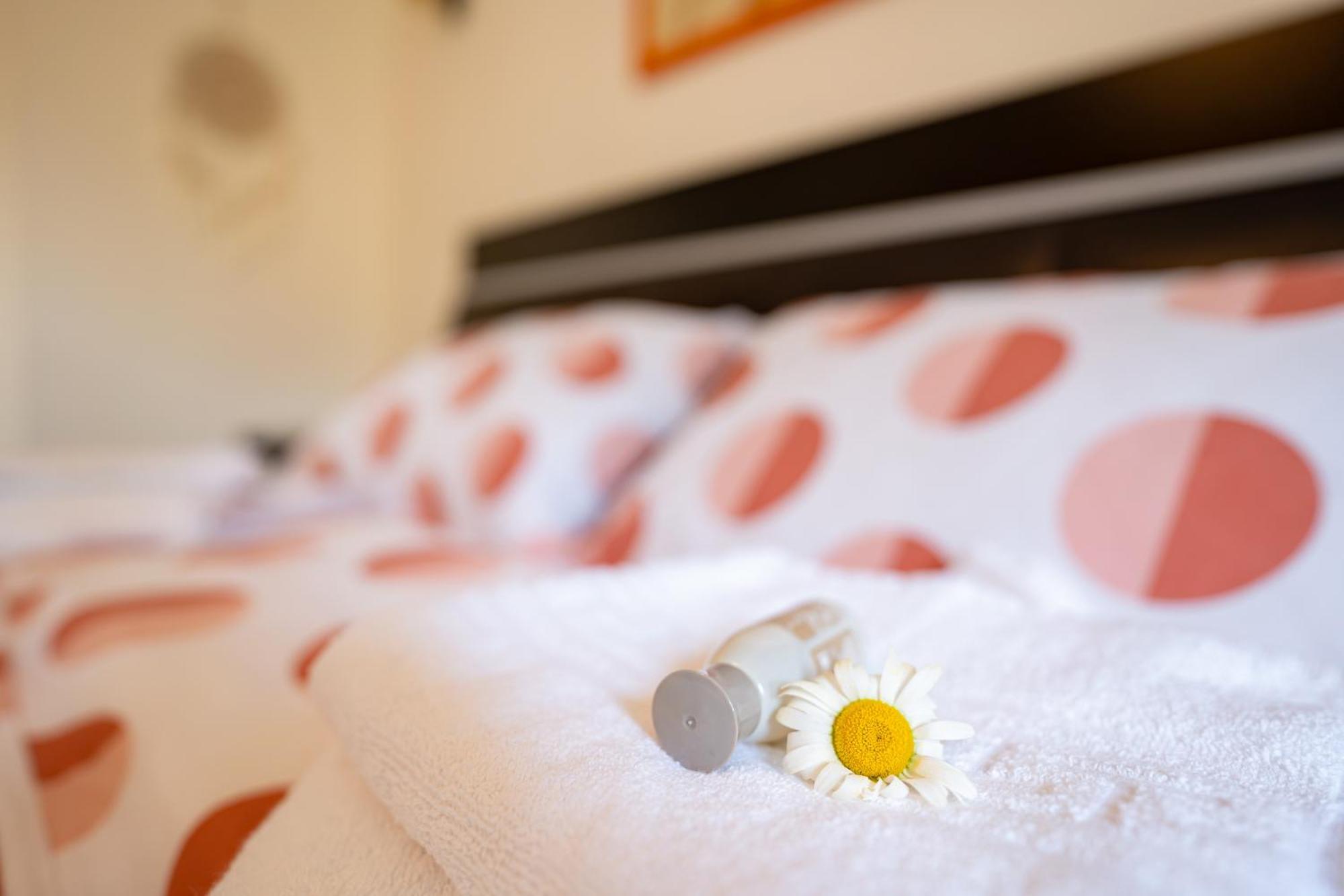 Metropolitan Wildscape View Apartment Brasov Bagian luar foto